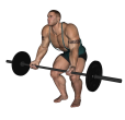 Reverse Row - Barbell